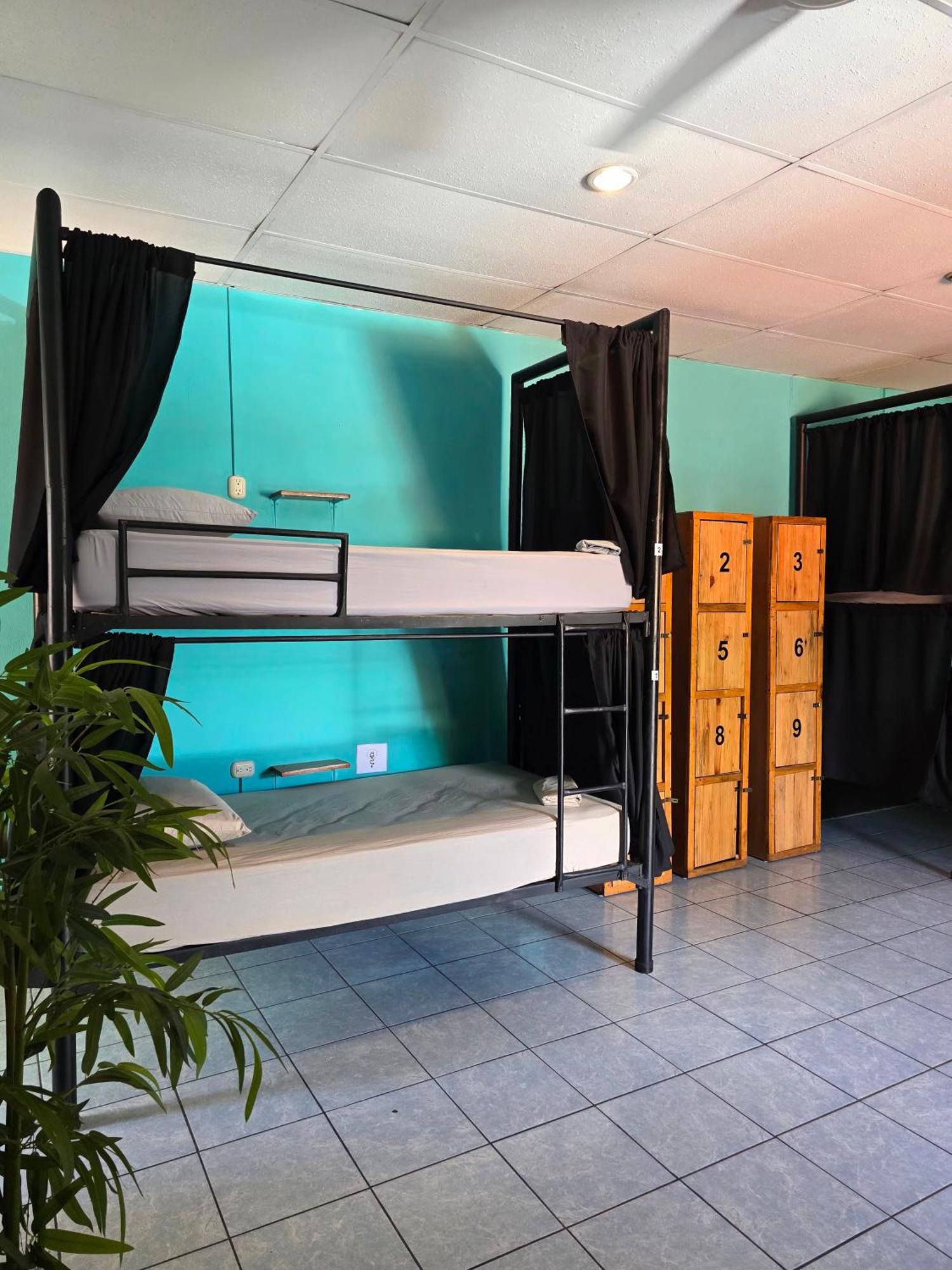 Bed in 10-Bed Mixed Dormitory Room